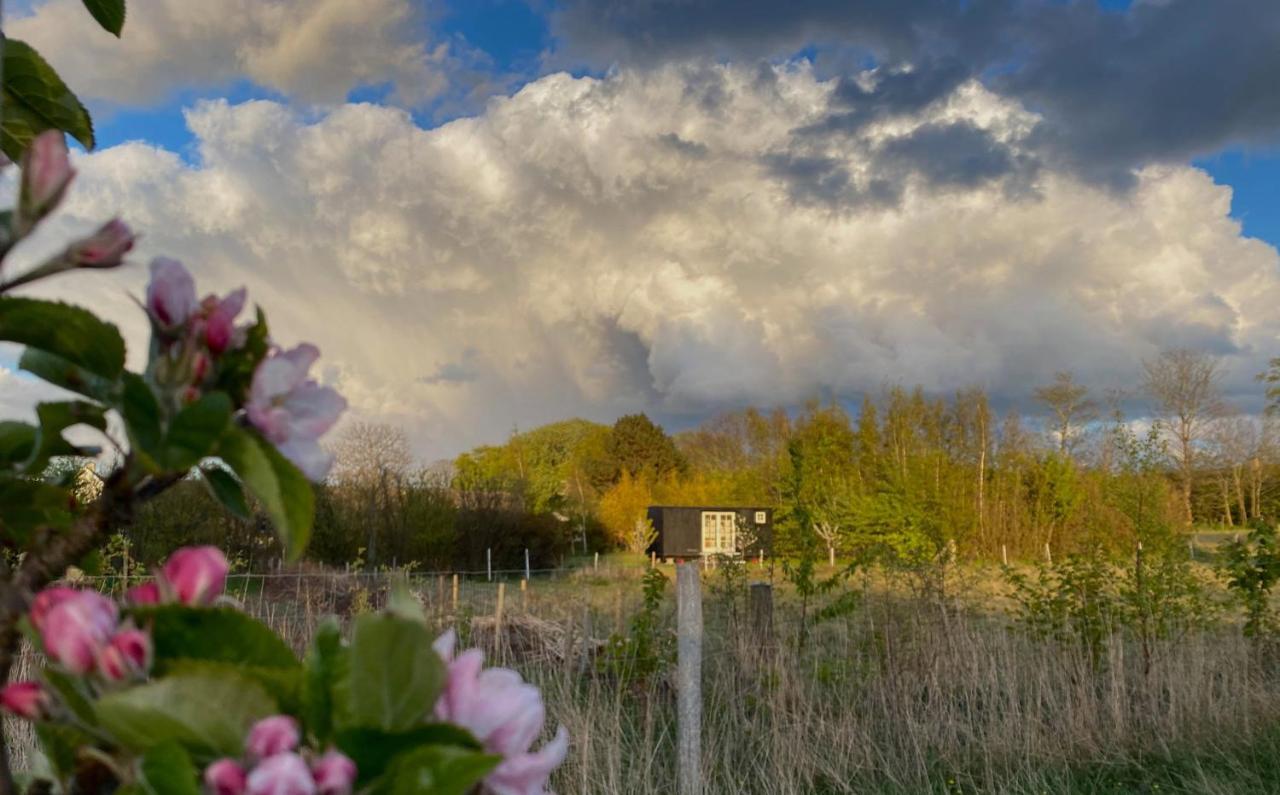 Aeblehaven Bed & Breakfast Toftebjerg Екстериор снимка